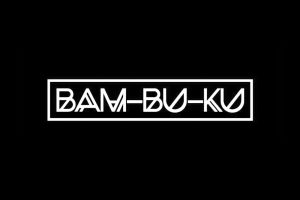 Cliente-SPL-audiosystems-5